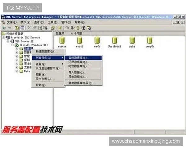 葡京官网平台如何保障玩家资金安全，详细介绍安全措施与风险控制策略